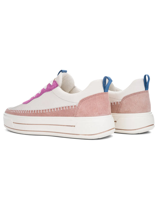 Ara women's Corsica 12-23024 lace up shoes Cream/ Piggy Pink/ Orchid Ara women's Corsica 12-23024 lace up shoes Cream/ Piggy Pink/ Orchid