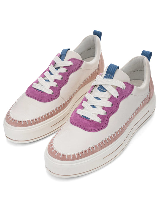 Ara women's Corsica 12-23024 lace up shoes Cream/ Piggy Pink/ Orchid Ara women's Corsica 12-23024 lace up shoes Cream/ Piggy Pink/ Orchid