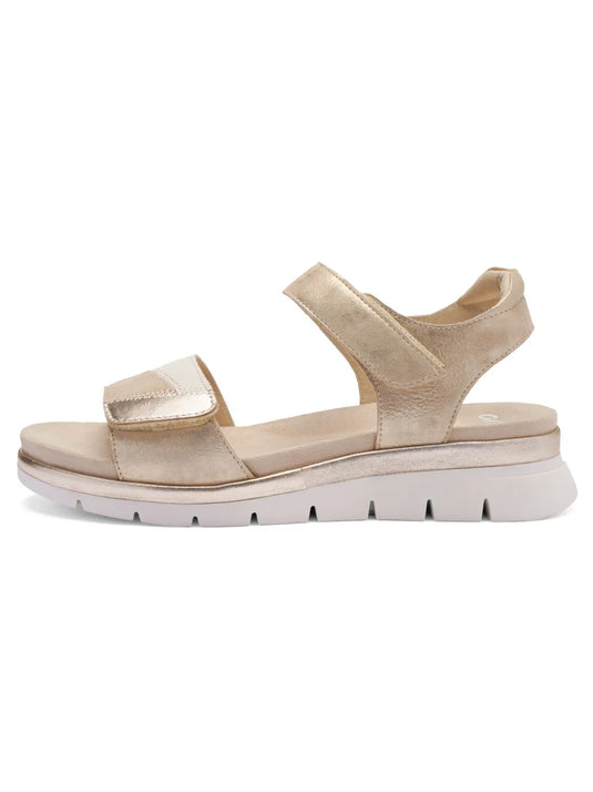 Ara Women's Cambridge 12-26504 Sandal Sand with Platinum metallic Ara Women's Cambridge 12-26504 Sandal Sand with Platinum metallic