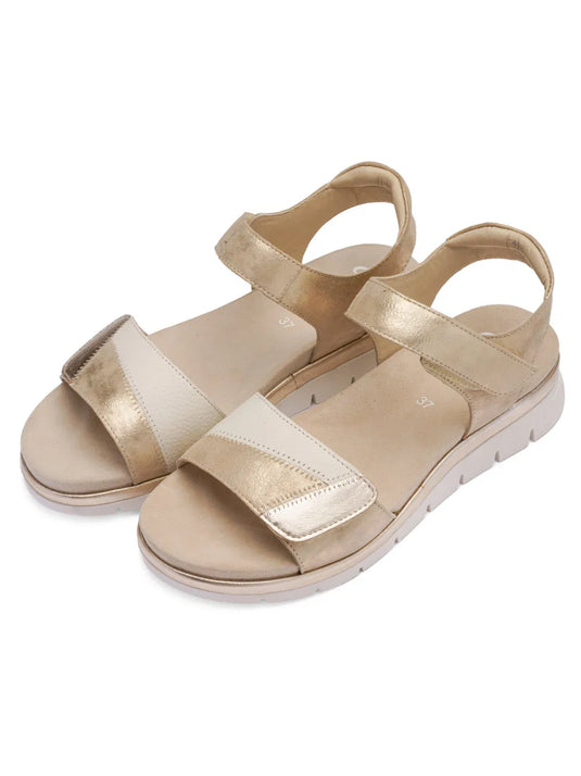 Ara Women's Cambridge 12-26504 Sandal Sand with Platinum metallic Ara Women's Cambridge 12-26504 Sandal Sand with Platinum metallic