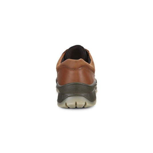 Ecco Men's Track 25 GTX Shoe Bison/Bison Ecco Men's Track 25 GTX Shoe Bison/Bison