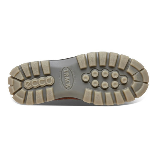 Ecco Men's Track 25 GTX Shoe Bison/Bison Ecco Men's Track 25 GTX Shoe Bison/Bison