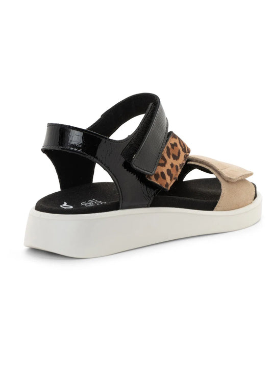Ara Women's Marina Triple Adjustable Sandal - Beige multi Ara Women's Marina Triple Adjustable Sandal - Beige multi