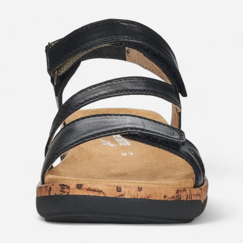 preview image for the product