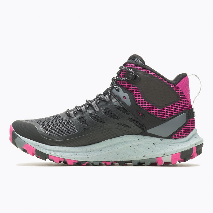 preview image for the product