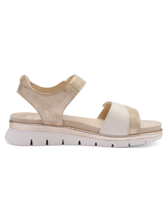 Ara Women's Cambridge 12-26504 Sandal Sand with Platinum metallic