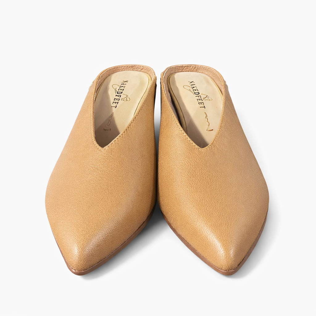 preview image for the product