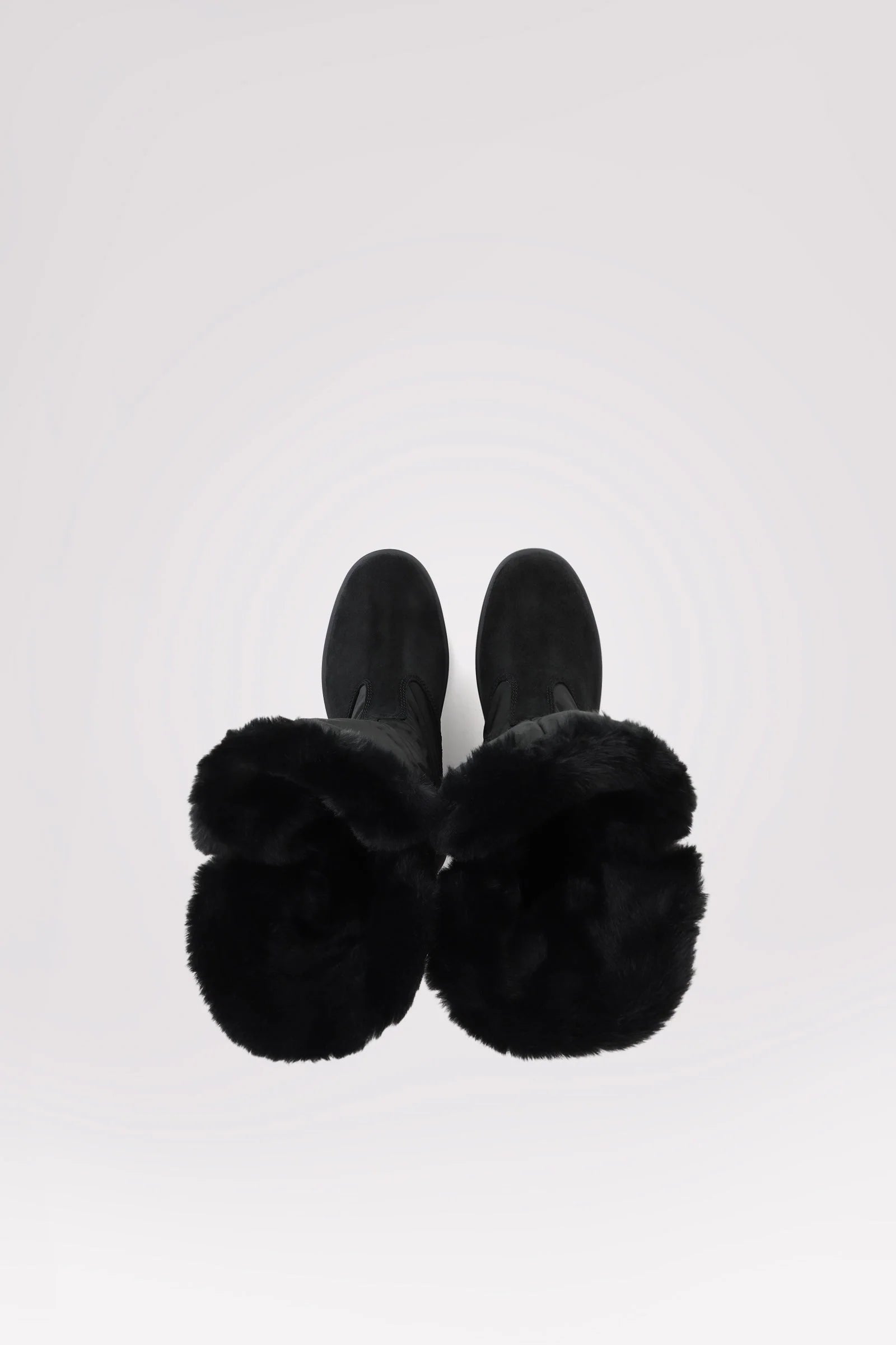 preview image for the product