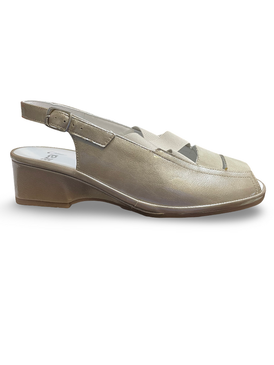 Ara Women's Rumor Slingback Sandal Cotton Patent