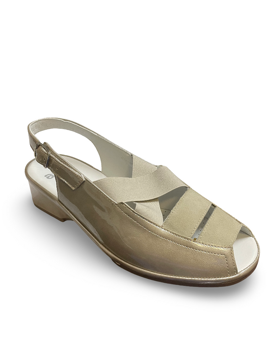 Ara Women's Rumor Slingback Sandal Cotton Patent