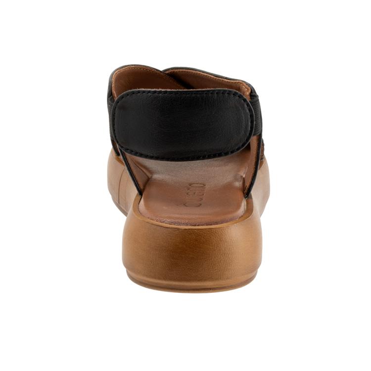 preview image for the product
