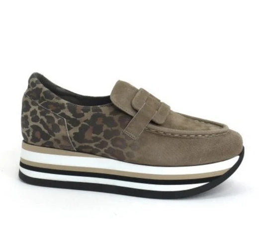 Softwaves CATRIEL Women's TAUPE/JAGUAR